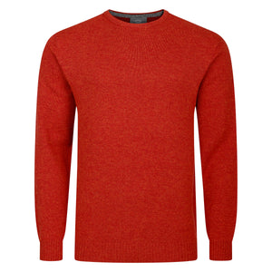 Mens Crew Neck Lambswool Sweater - Copper